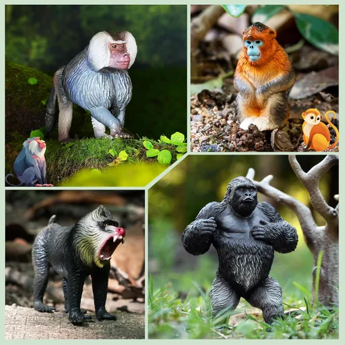 Miniatura 4 de Toymany 6 figuras de primates, juego de animales de mono de la selva de plástico, incluye mono, simio, chimpancé, gorila, juguetes para niños