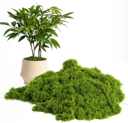 Musgo verde falso de 5.3 onzas – Musgo artificial preservado. Perfecto para manualidades, decoración de bricolaje, mantillo en macetas, jardines de