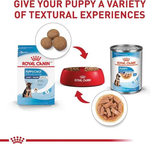 Miniatura 5 de Royal Canin Size Health Nutrition - Alimento seco para cachorros grandes, bolsa de 17 libras