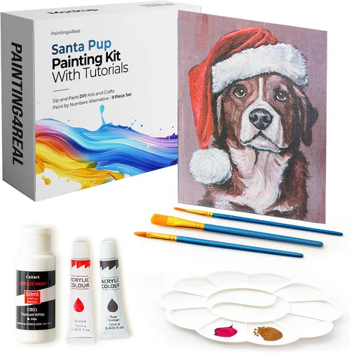 Miniatura 21 de Kit de Pintura DIY Painting4Real para Adultos – Aprende a Pintar Bosques Navideños con Tutoriales en Vídeo – Juego de Pintura Acrílica de 9 Piezas