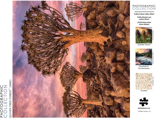 Miniatura 5 de Buffalo Games - Quiver Tree Forest - Rompecabezas de 300 piezas grandes