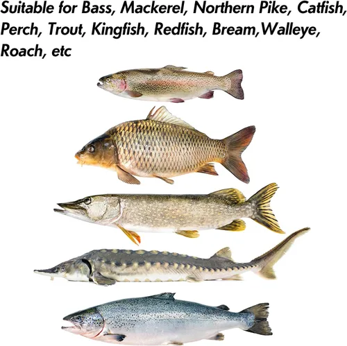 Miniatura 6 de Dr.Fish Anzuelos de Jigging Cuchara de Jigging para Pesca en Agua Salada Señuelos de Casting Cuchara de Metal para Pesca en Surf Señuelos