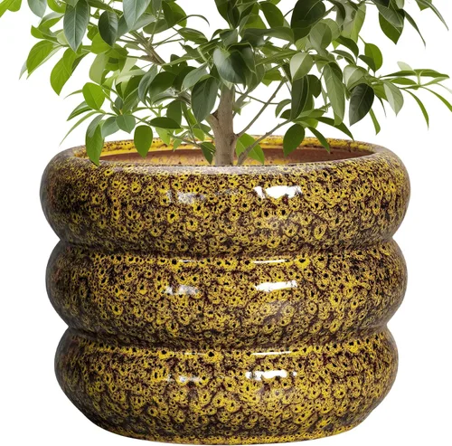Miniatura 38 de Maceta de cerámica SQOWL para plantas de 8 pulgadas - Maceta de interior con orificio de drenaje para plantas de exterior, maceta floral moderna