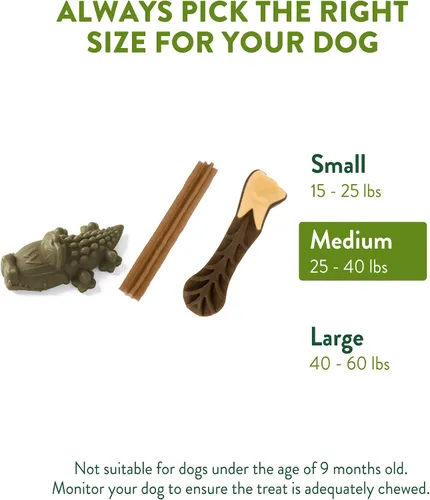 Miniatura 6 de WHIMZEES by Wellness Dental Treats + paquete de alimentos secos para perros: masticables sin granos de larga duración, tamaño mediano, 28 unidades +