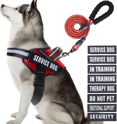 Miniatura 48 de Juego de arnés y correa para perro de servicio, arnés de entrenamiento para perro Animire con 10 parches para perros, correa reflectante para perro