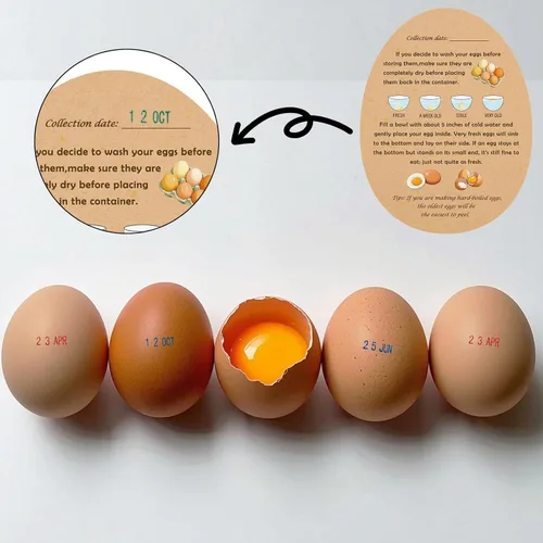 Miniatura 7 de Sellos de fecha de huevo para huevos frescos, con una almohadilla de tinta de cuatro colores, 50 Instrucciones de huevos frescos de granja, Kit