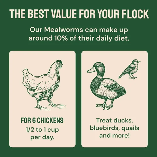 Miniatura 9 de 5 libras de gusanos secos para aves, pollo, pescado