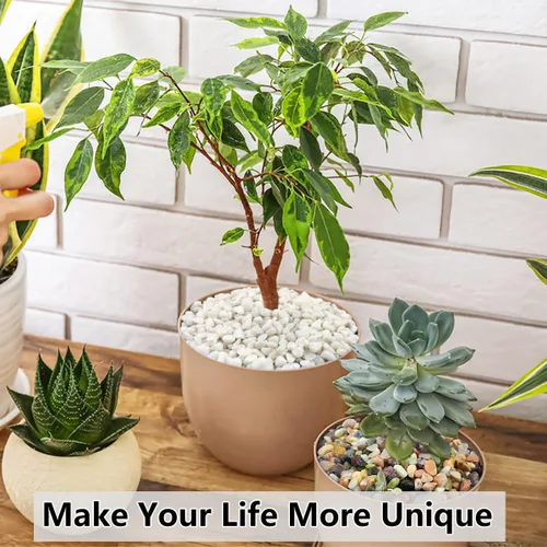 Miniatura 7 de YISZM Piedras negras suculentas y cactus de 2 libras, piedras pulidas decorativas naturales de 3/8 pulgadas, rocas de río para plantas