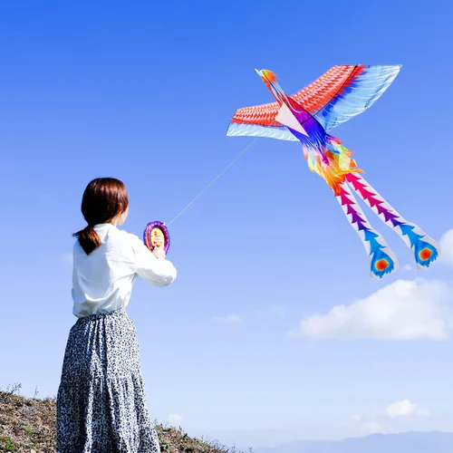 Miniatura 2 de Mint’s Colorful Life Large Kite for Kids and Adults, Easy to Fly Single Line Beach Kites, Comes with 300ft String Handle