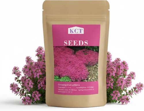 Más de 20.000 semillas de tomillo rastrero cubierta del suelo, semillas de flores para plantar, Thymus Serpyllum perenne para jardín de rocas,