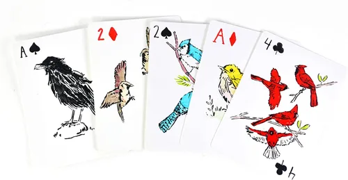 Miniatura 3 de Apostrophe Games Naipes en blanco – 54 cartas para escribir – Baraja personalizada con lujoso acabado mate – Cartas divertidas y geniales para niños