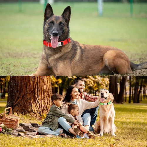Miniatura 5 de Collares de perro personalizados, collar de perro con etiquetas de identificación de placa de nombre grabadas, collar de nailon ajustable Rosa