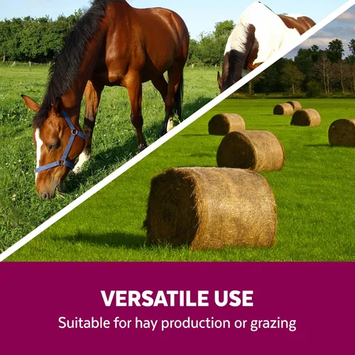 Miniatura 5 de Mountain View Seed s 100371 - Mezcla de semillas de pasto para caballos, 25 libras