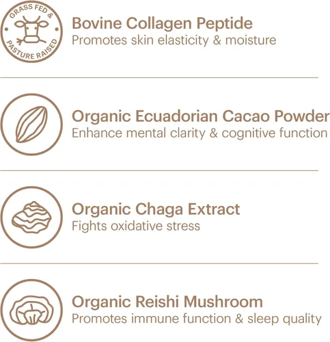Miniatura 5 de Wellthy Superalimento en polvo de colágeno, combate el estrés y la fatiga, cacao, polvo de hongos, extractos orgánicos de chaga y reishi, matcha
