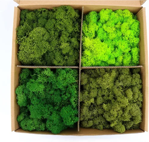 Amoueterno Musgo preservado de 4 colores de musgo de reno, total de 14 onzas cada color, 3.5 onzas, musgo verde real natural, kit de bricolaje de