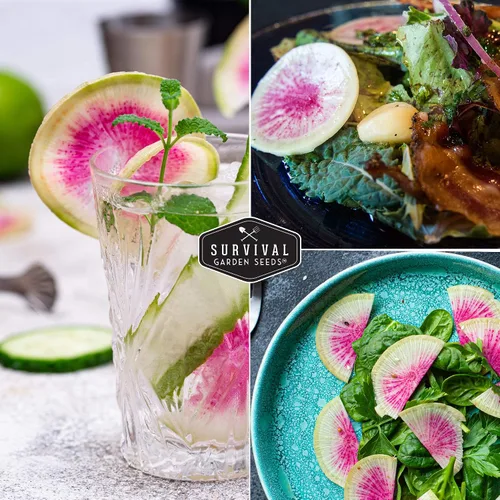 Miniatura 5 de Semillas de rábano sandía Daikon para plantar, rábanos asiáticos exóticos con piel verde y blanca, pulpa rosa brillante, reliquia, verduras raras