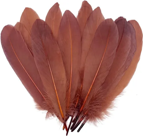 100 plumas de ganso marrón de 6 a 8 pulgadas para decoración de otoño, manualidades, ropa de cosplay, sombreros, accesorios, atrapasueños, Café
