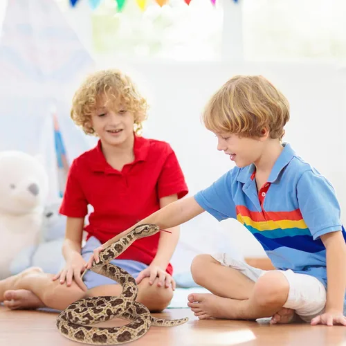 Miniatura 4 de Hozzi Boa Constrictor gigante de peluche grande de serpiente de peluche realista de 78.7 in / 80 pulgadas, regalos realistas para niños, fiesta
