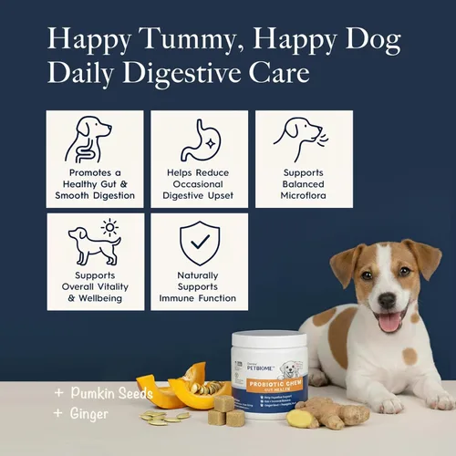 Miniatura 2 de Oraticx PetBiome - Probiótico masticable para perros, apoya la salud digestiva diaria, el equilibrio intestinal y el sistema inmunológico, con raíz