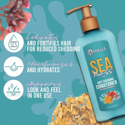 Miniatura 2 de Mielle Organics Sea Moss - Acondicionador hidratante para cabello seco, fortalece las hebras para reducir el desprendimiento, mejora el aspecto