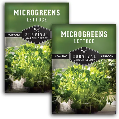 Miniatura 10 de 1 paquete de semillas de lechuga Microgreens para plantar y cultivar, microverduras de hoja verde aptas para principiantes, para interiores, cultiva