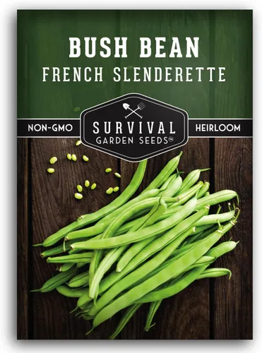 1 paquete de semillas de frijol francés Slenderette Bush para plantar con instrucciones para cultivar verts de haricots en tu huerto casero,