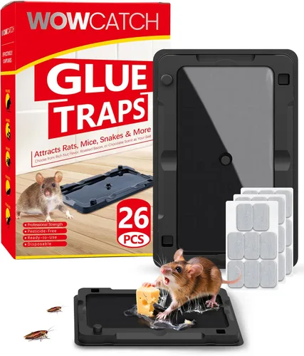 Wowcatch Trampas adhesivas para ratones para interiores para el hogar, paquete de 26 trampas de pegamento precebadas para cucarachas, arañas,