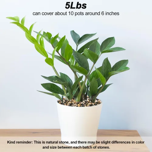 Miniatura 5 de Piedras decorativas para plantas en maceta, piedras de río Virekm, guijarros ornamentales decorativos, grava de piedras para paisajismo de jardín