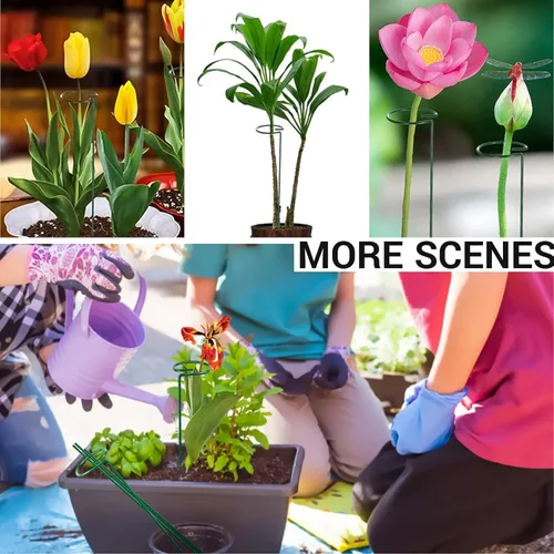 Miniatura 6 de 4 estacas para plantas de jardín para flores, soporte de metal para plantas de jardín de un solo tallo, soporte de flores de jardín para plantas