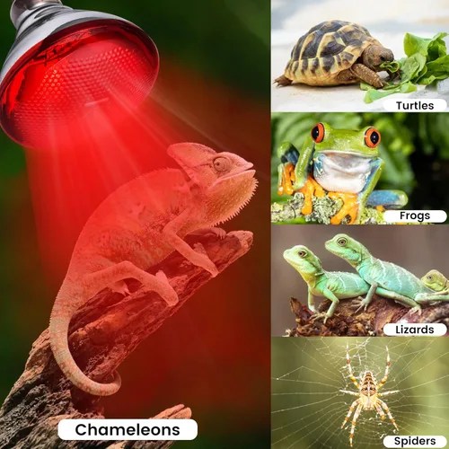 Miniatura 5 de Lámpara de calor para gallinas, gallinero, incubador y bombilla de calor para reptiles, 150 vatios, luz roja infrarroja