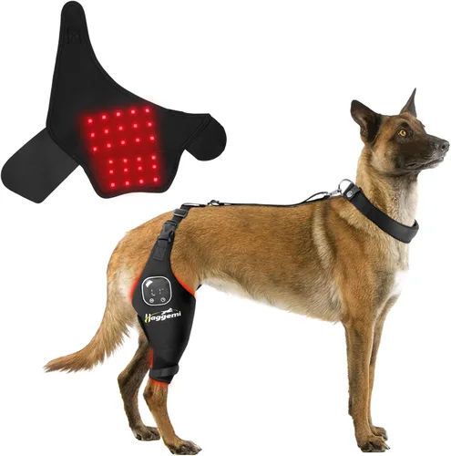 Miniatura 8 de Rodillera para perros – Soporte para problemas de ligamento cruzado anterior y articulaciones de rodilla con terapia de luz infrarroja roja, alivio