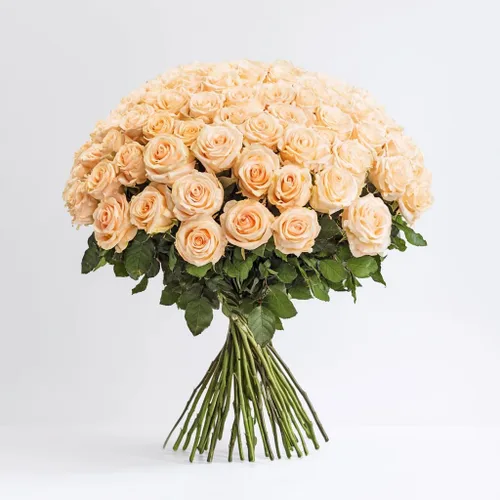 Miniatura 3 de GlobalRose Ramo de 100 Rosas Melocotón - Rosas de Origen Responsable Flores Frescas - Ramo Fresco de Flores Seleccionadas a Mano para Graduación