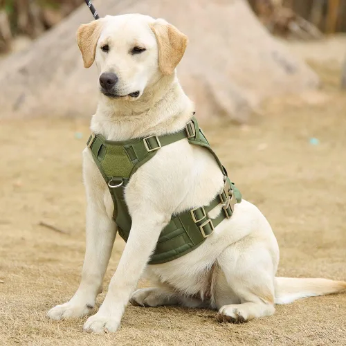 Miniatura 8 de Arnés táctico para perros grandes y medianos, sin tirones, chaleco militar para perro de servicio con panel Molle, arnés para perro con asa