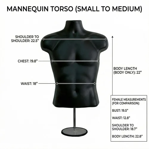 Miniatura 2 de Maniquí masculino de torso con soporte de metal, cuerpo hueco, apilable, forma para exhibir camisetas, mostrador, ferias de manualidades, fotos