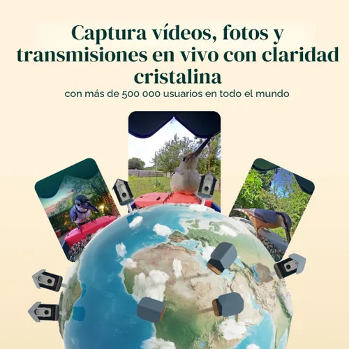 Miniatura 2 de Birdbuddy PRO Comedero Inteligente para Aves sin Energía Solar con Cámara - Identificación de Especies de Aves por IA, Fotos de 5MP, Cámara