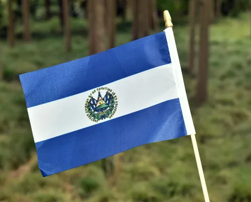 Miniatura 5 de 25Pack Bandera pequeña de Salvador portátil Mini Bandera salvadoreña en palo 5x8 Pulgadas República Dominicana