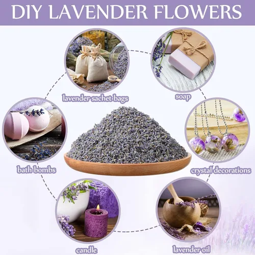 Miniatura 5 de Treela 3 libras de lavanda seca a granel, pétalos de flores fragantes para bricolaje, regalos de boda, manualidades, bolsitas de fragancia
