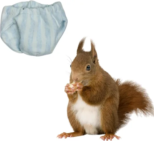 Miniatura 11 de Pañales lavables de ardilla – Pañales de tela reutilizables extra pequeños para mascotas, altamente absorbentes, a prueba de fugas, pantalones 3