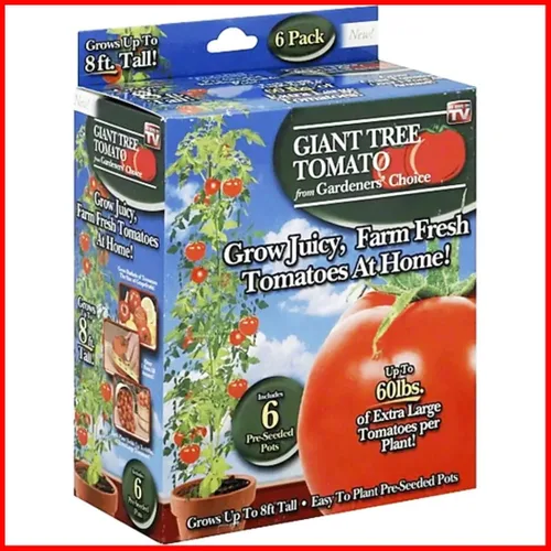 Miniatura 5 de Gardeners' Choice - Árbol de tomate gigante