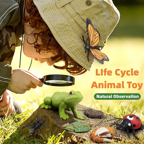 Miniatura 5 de Figuras del Ciclo de Vida de Animales Montessori con Tarjetas Flash, Juguetes de Figuritas de Animales Realistas, Juego Educativo de Emparejamiento