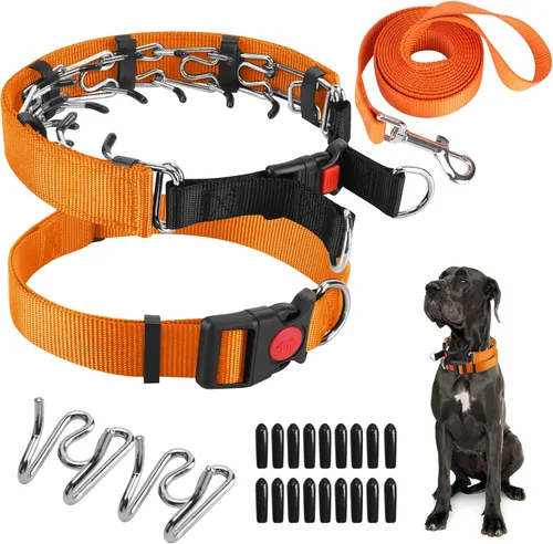 Miniatura 20 de Collar de entrenamiento de puntas con puntas cómodas y hebilla de cierre rápido – Collar de pellizco para perro con cubierta de nailon