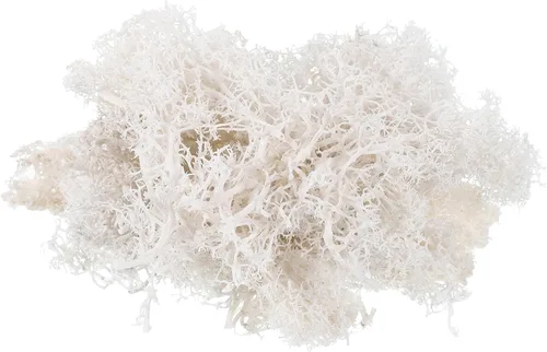 Miniatura 21 de MECCANIXITY Musgo artificial de musgo de 3.5 onzas, musgo artificial preservado natural para manualidades, manualidades, proyectos florales, Negro