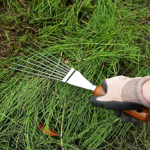 Miniatura 2 de Rastrillo de mano japonés para jardín, acero japonés con mango de madera, rastrillo pequeño para hojas, herramienta de limpieza de jardín de mano