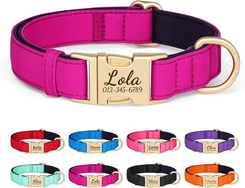 PET ARTIST Collares de perro personalizados coloridos, collar de perro personalizado con etiqueta de identificación grabada silenciosa, nailon