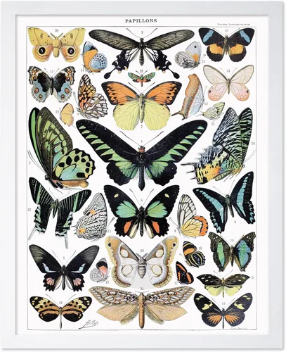 Miniatura 31 de Poster Master Póster vintage de miel, impresión retro de La Vie De L'Abeille, arte de panal de abeja, arte de pared de abeja, regalo para hombres