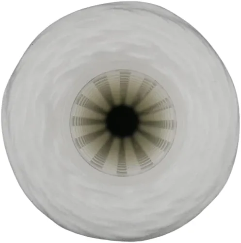Miniatura 3 de IPW Industries Inc. - Cartucho de filtro de agua para toda la casa - Filtro de sedimentos de 5 micrones para agua de pozo y sistema de filtración