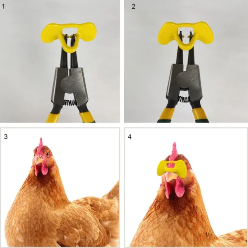 Miniatura 6 de Weilan 20 piezas de miradores sin alicates con alicates, miradores de pollo, anteojos de faisán, aves de corral, anteojos, anteojos, anteojos