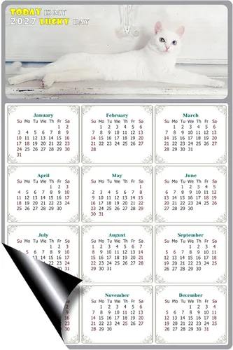 Miniatura 2 de Calendario magnético 2025 – Imanes del calendario – Today is my Lucky Day – Resistente a la decoloración, desgarros y agua – Temática de gato 06