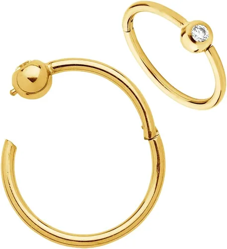 Miniatura 18 de 365 Sleepers Anillo de titanio de 18G de 0.236 a 0.394 pulgadas, con bisagras, segmento BCR, hélice, tragus, septum, nariz, labio, arete de aro