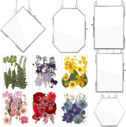 Miniatura 8 de Bucherry Marco de vidrio para bricolaje, arte de flores prensadas, marco de fotos colgante de latón con cadena y 6 estilos de flores prensadas